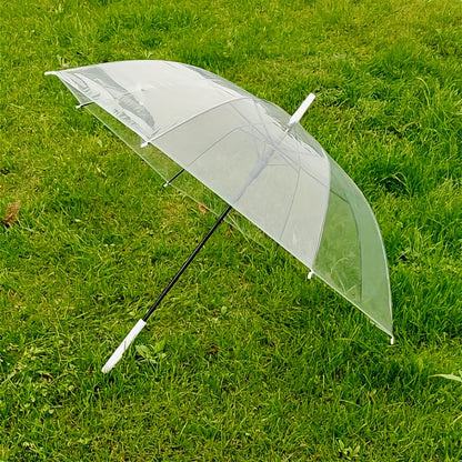 Transparent Dome Umbrella