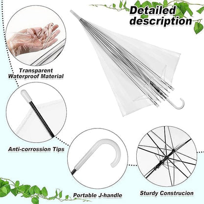 Transparent Dome Umbrella