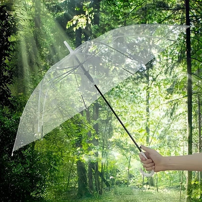 Transparent Dome Umbrella