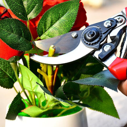Garden Shears