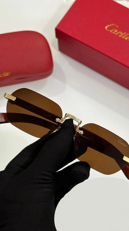 Cartier sunglasses-Brown