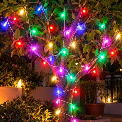 Multicolor LED String Light Series
